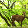 「何も言わずに楽しもう」