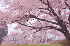 誰かの特等席