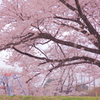 誰かの特等席