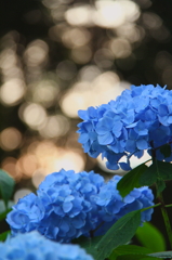 夕刻