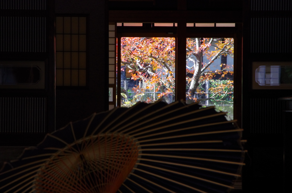 日本の秋