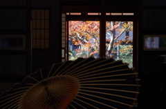 日本の秋