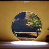明月院の円窓