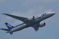 B787-8