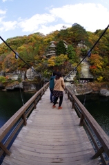 揺れる吊り橋