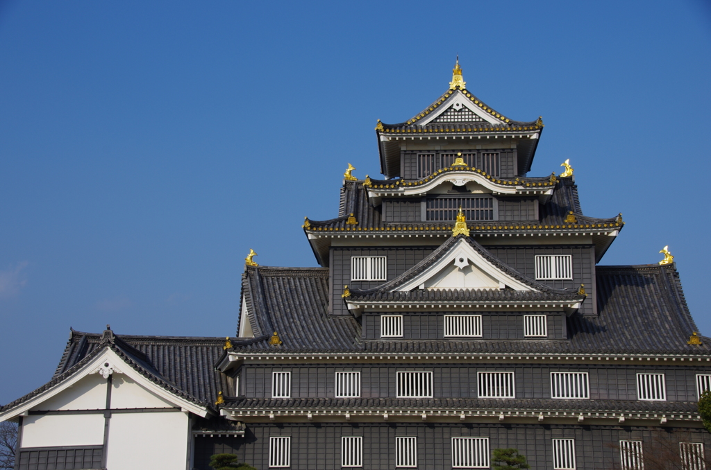 岡山城