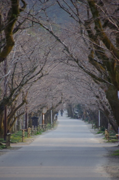 城下町　秋月