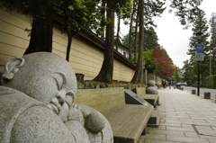 お昼寝
