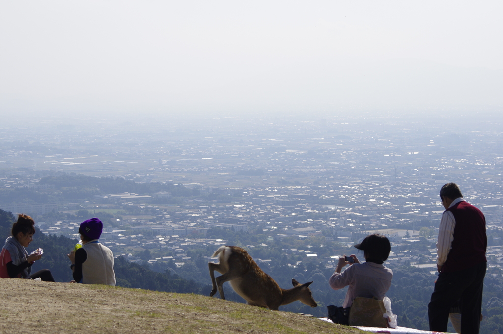 若草山