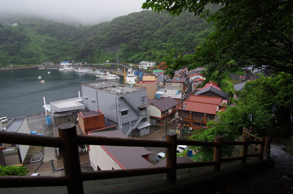波浮の港