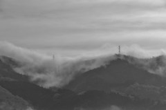 IMG_3407