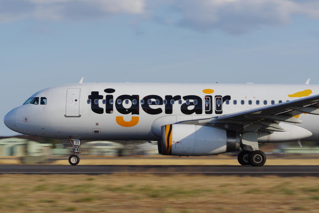 tigerair　茨城空港