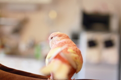 キラキラ