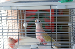にょろにょろ