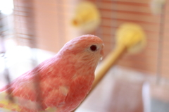 おはようございます。