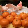 ゆずとみかん1