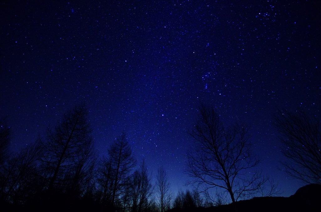 戦場ヶ原から望む星空