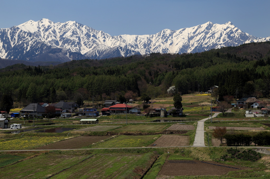 爺と鹿島