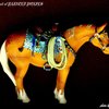 PONY PIN