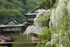 田沢温泉