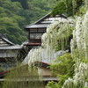 田沢温泉