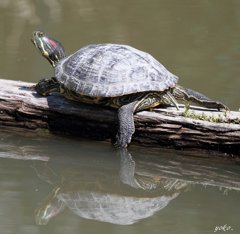 は～、極楽・極楽