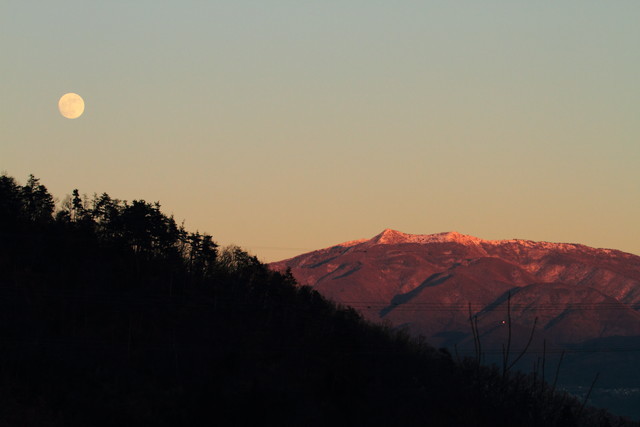 夕陽と共に