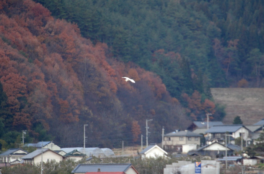 下降