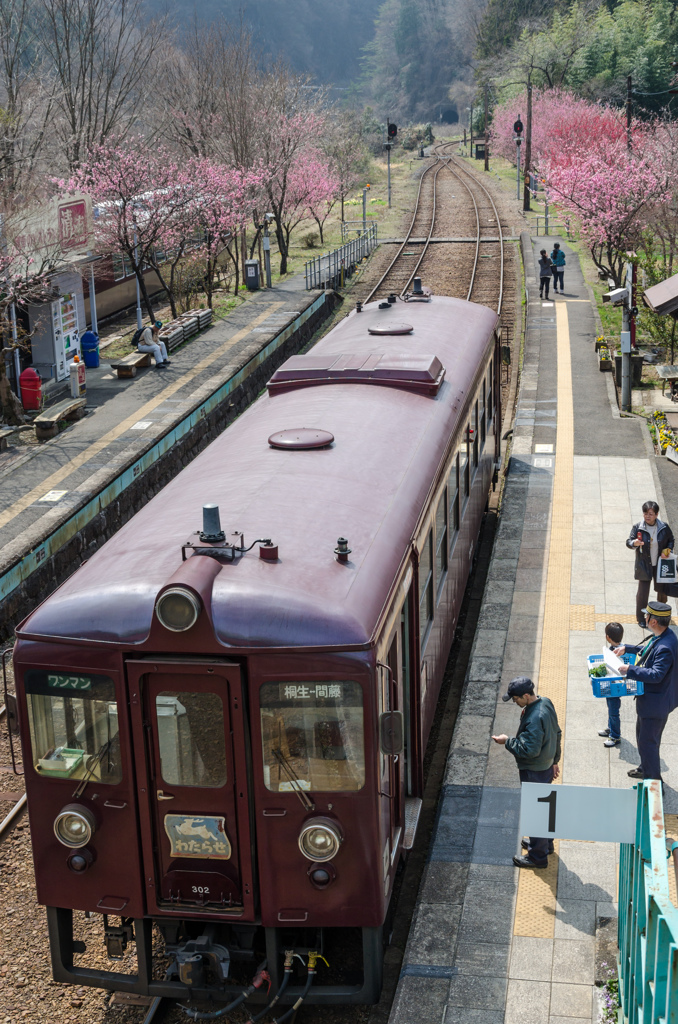 わたらせ旅情