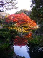 池のほとりで