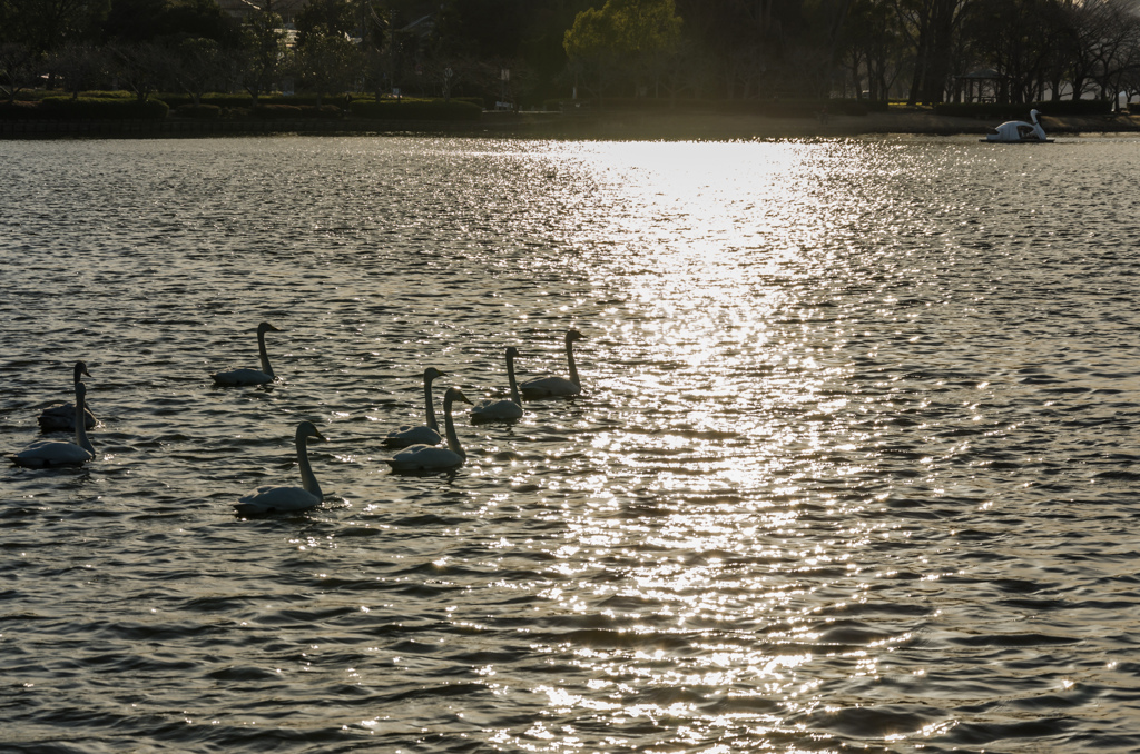 Sun reflection