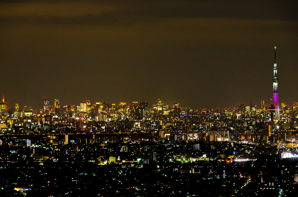 tokyo nightview