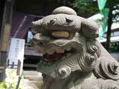 神社の守り神