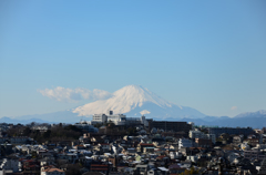 街の向こうに富士山