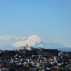 街の向こうに富士山