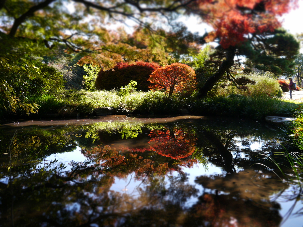 明鏡止水～紅葉～