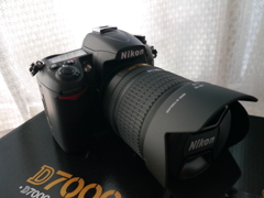 D7000購入！