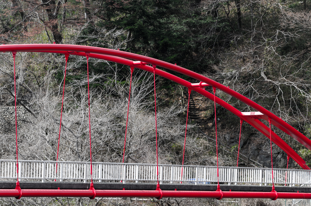 Red bridge, Gray woods