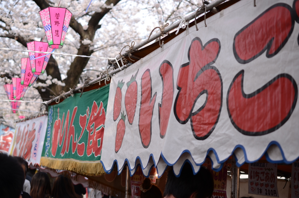 春の風物詩