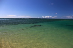 Sea of Waikiki