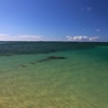 Sea of Waikiki