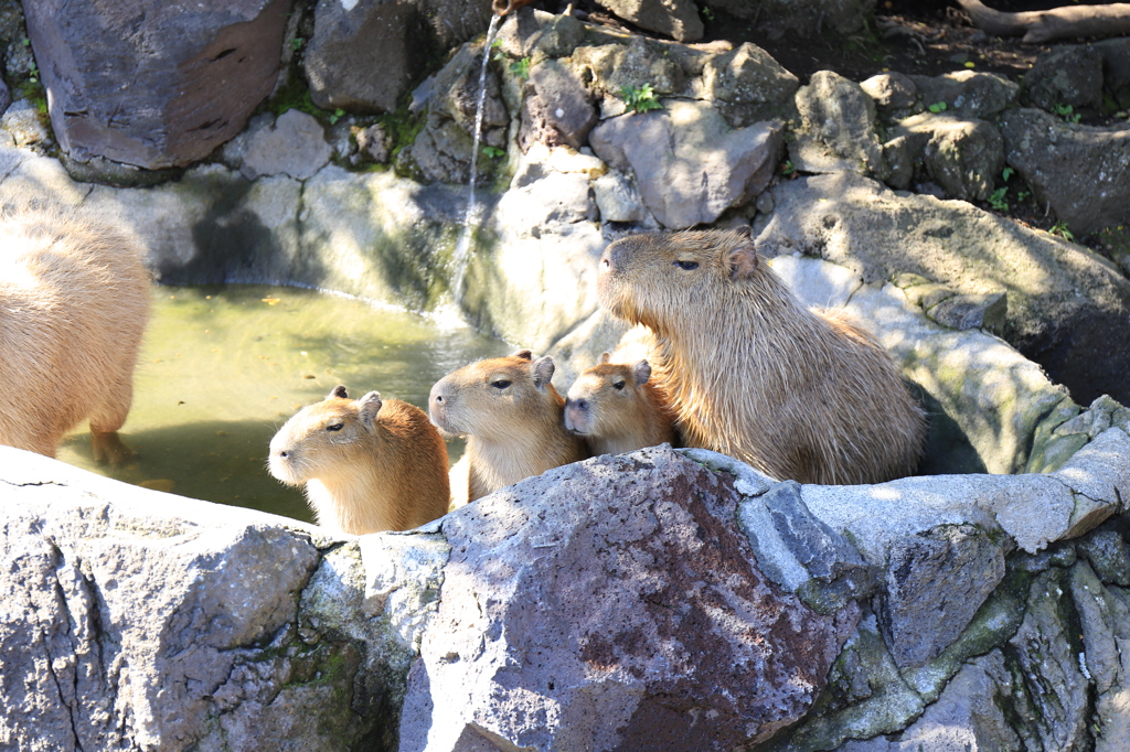 視線も仲良く☆