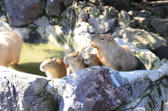 視線も仲良く☆