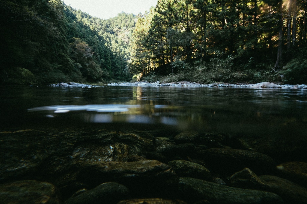 静かな川