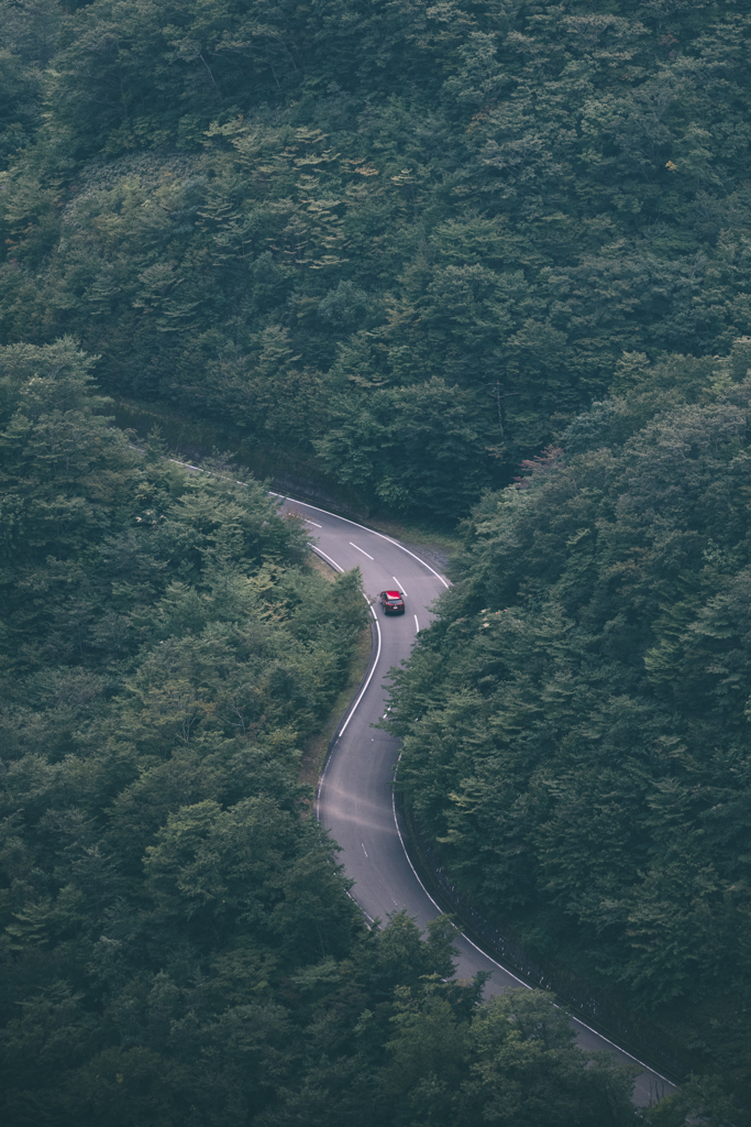drive