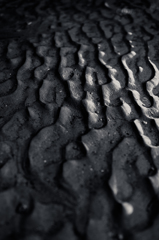 mud