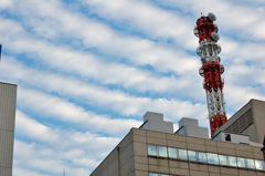 小津の空