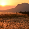 曽爾とすすきと夕日。