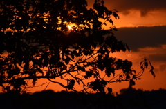 夕焼け