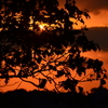 夕焼け